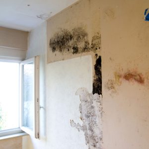 damp-proofing-london